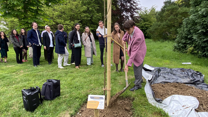 Plantation de l'arbre de promo