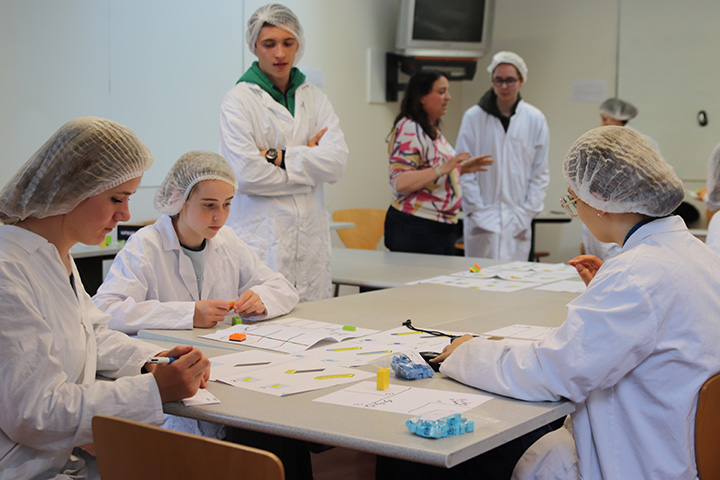 Atelier jeu légo alimentaire