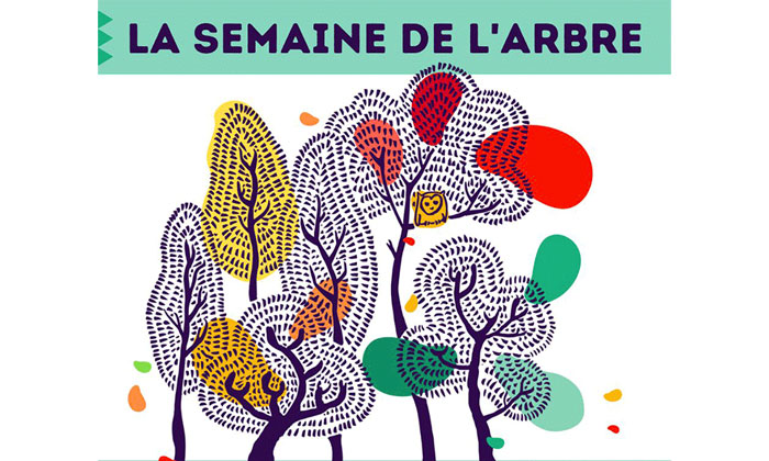 semaine-arbre