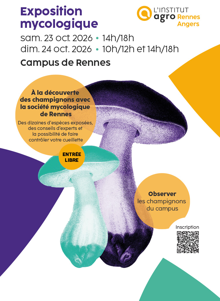 Affiche de l'exposition mycologique 2026