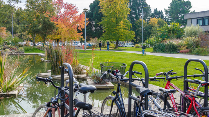 Vélos sur le campus d'Angers