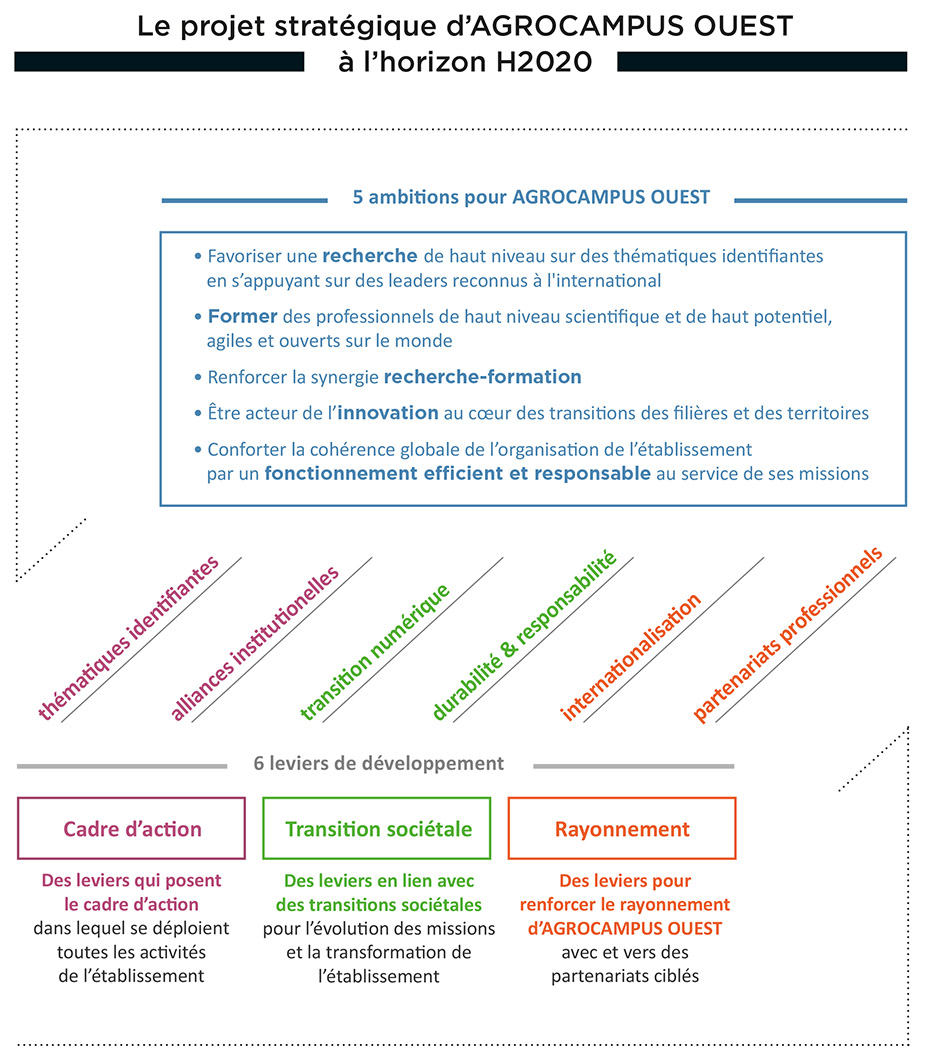 Visuel du projet stratégique 