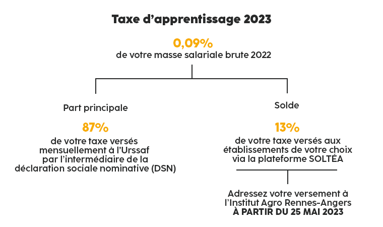 Schéma de versement de la taxe d'apprentissage