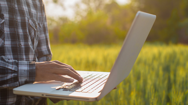 Gestion des cultures