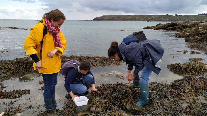 Etudiants en sortie terrain