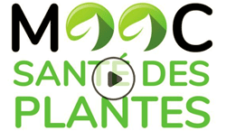 MOOC Santé des plantes