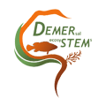 Logo DEMERSTEM