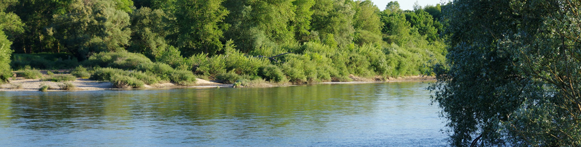 Bords de Loire