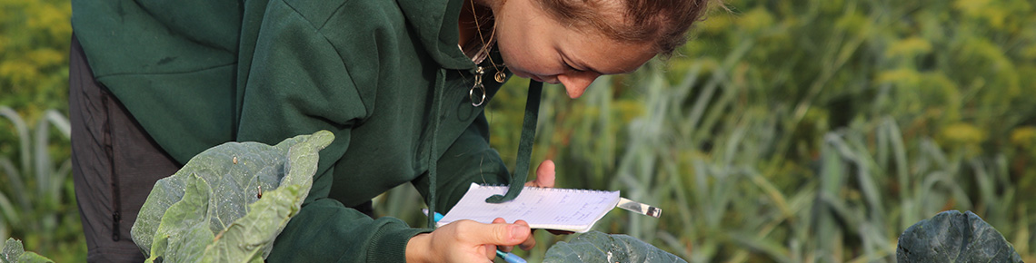 visuel bachelor agro