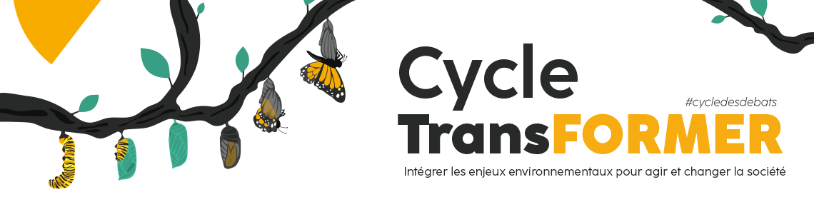 Cycle TransFORMER