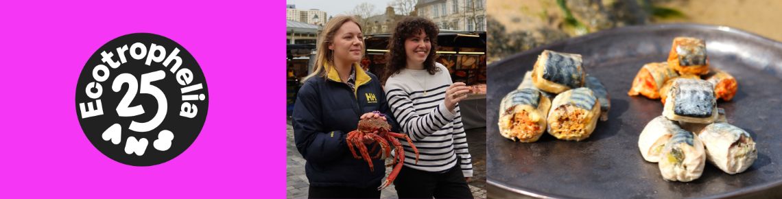 Visuel groupe Gourmet Marin et projet Brizhilli