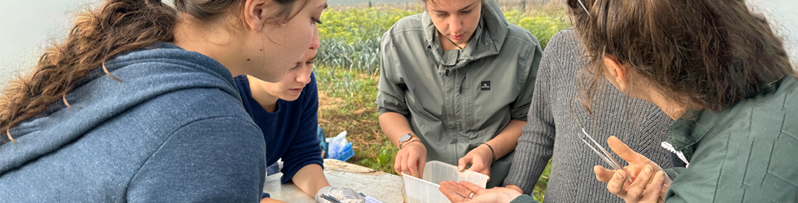 Etudiants en sortie terrain