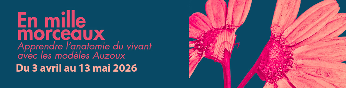 Visuel expo En mille morceaux