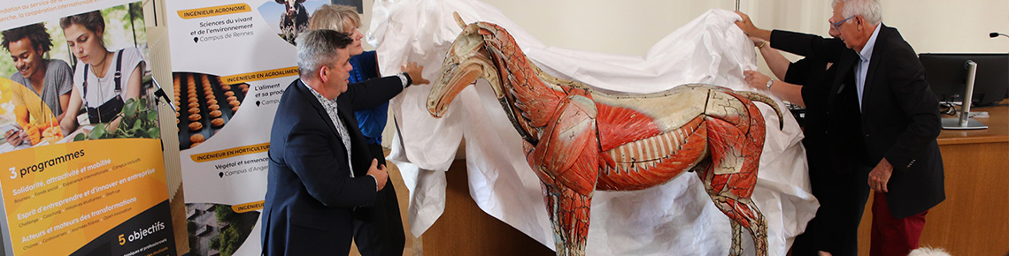 Dévoilement cheval Auzoux