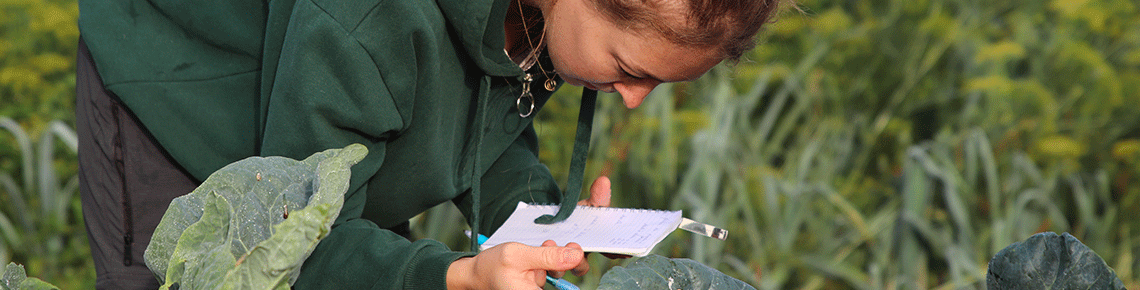 visuel bachelor agro