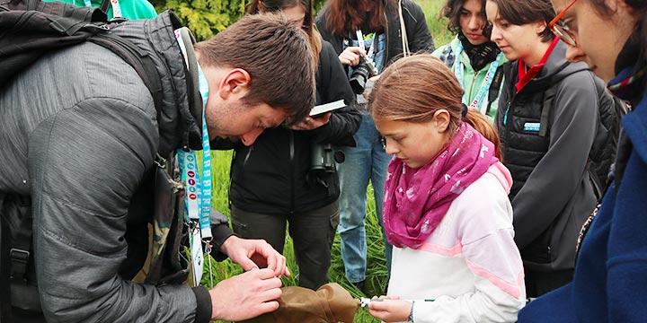 bioblitz papillon