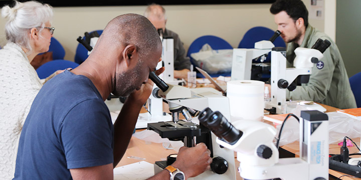 bioblitz microscope