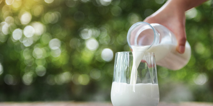 Lait