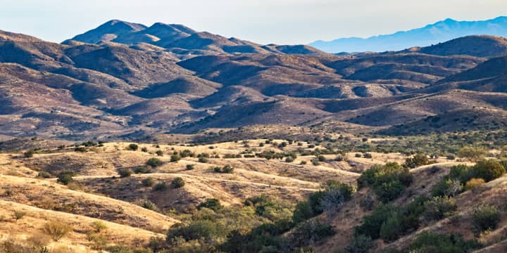 Santa Rita Mountains