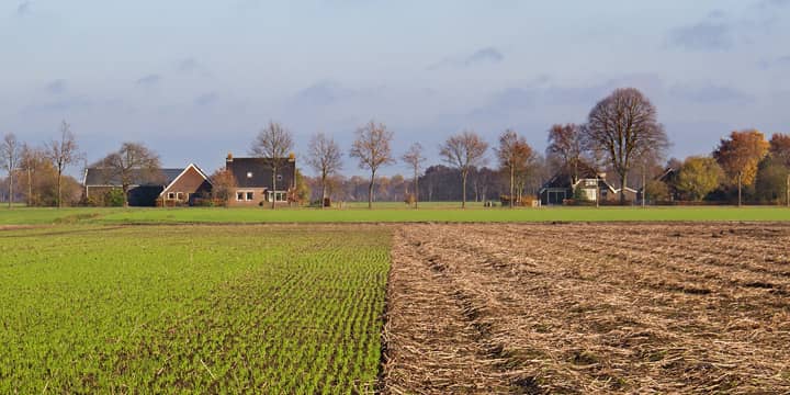 Paysage de campagne