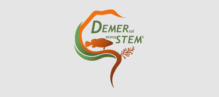 Logo du programme DEMERSTEM