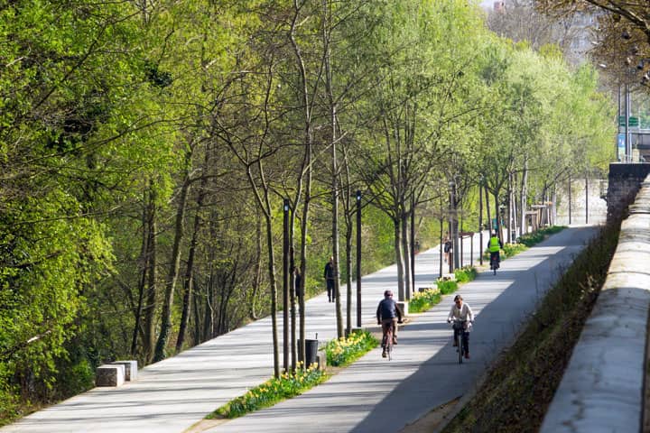 Arbres en ville