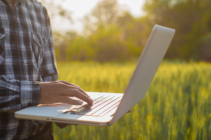 Contrôle des cultures