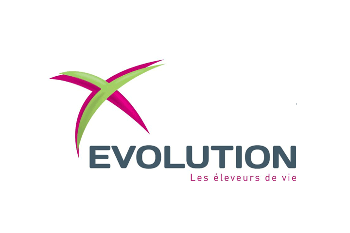 Logo Evolution