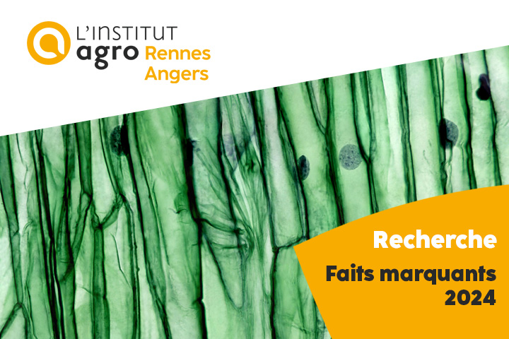 Couverture de la brochure