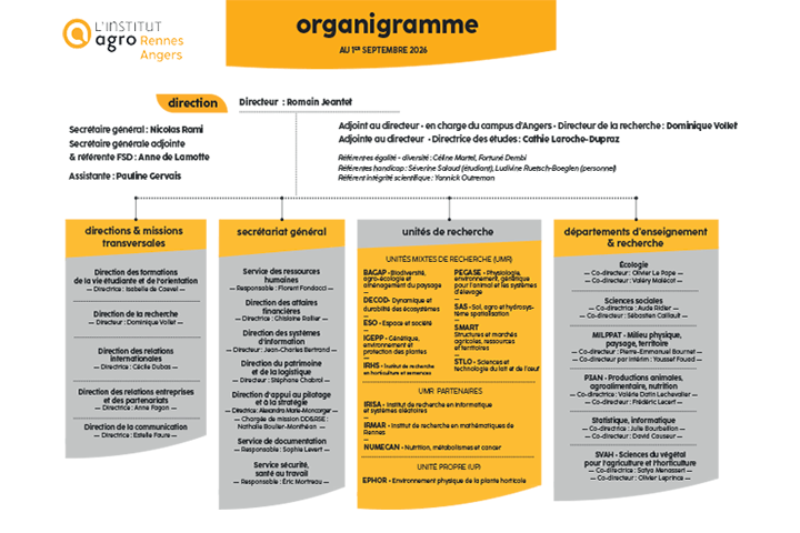 organigramme