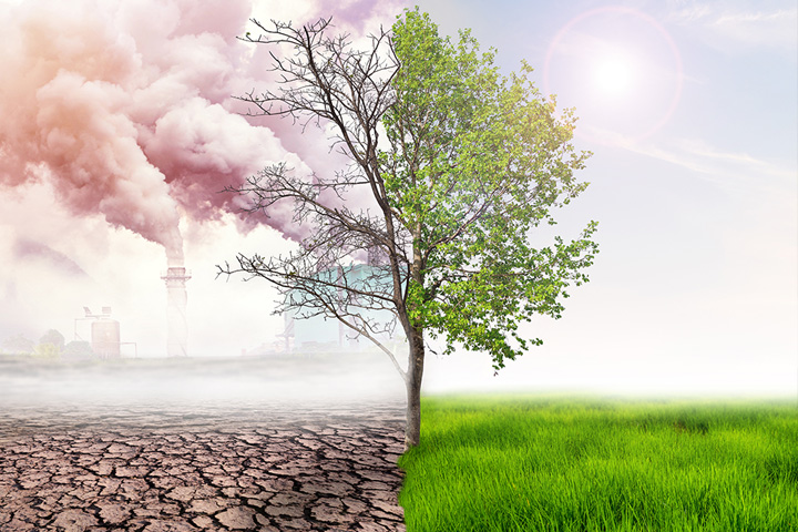 Paysage industriel polluant à côté d'un arbre dans un champ