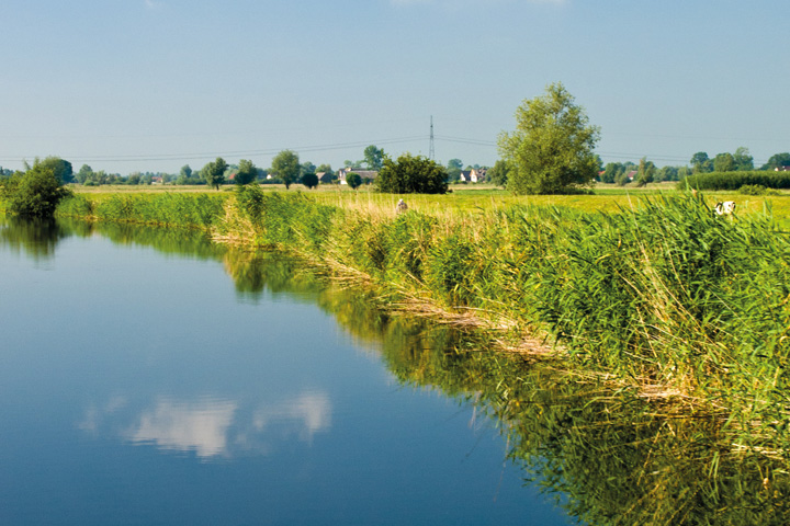 Etendue d'eau