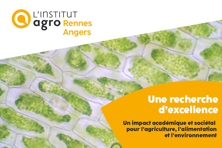 Couverture de la plaquette