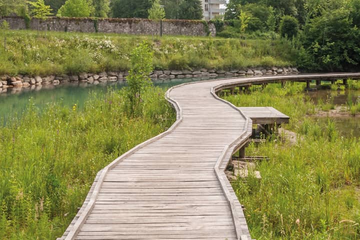 Paysage
