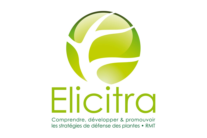 Logo RMT Elicitra