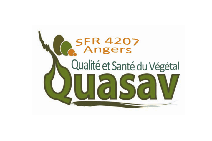 Logo SFR QUASAV