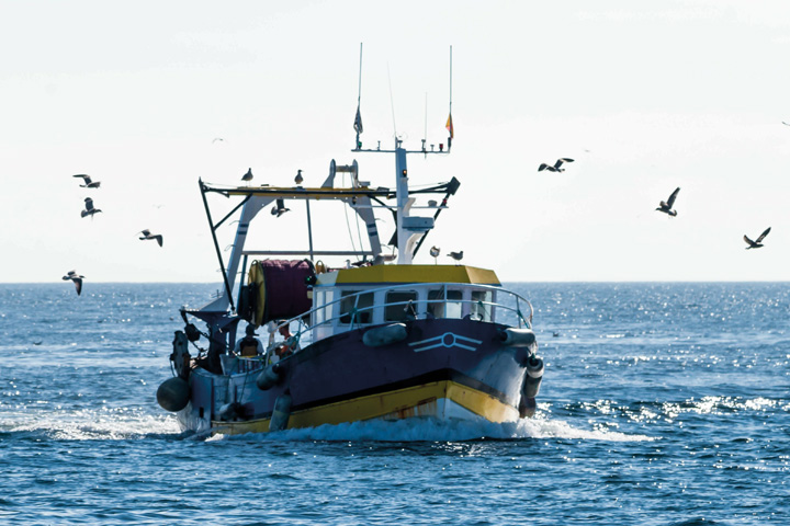 Retour de pêche