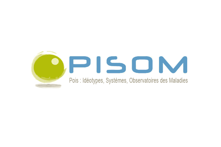 Logo UMT Pisom